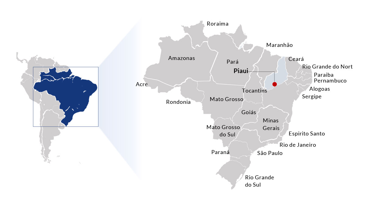 Brazilian Nickel Map